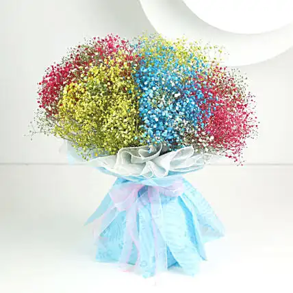 send flowers and gifts online -48 24 74134